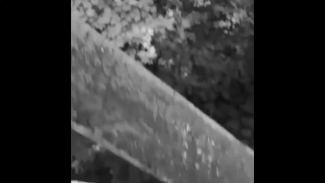 #31 Подборка видосов с 4chan / #31 4chan Video Compilation