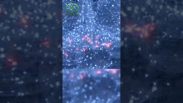 🧠 ЕСЛИ ПРАВОЙ РУКОЙ ПИШЕТЕ, ТО ВЕДУЩЕЕ ПОЛУШАРИЕ НЕ ВСЕГДА ЛЕВОЕ! #мозг