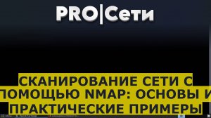 Сканирование сети с помощью nmap: основы и практические примеры