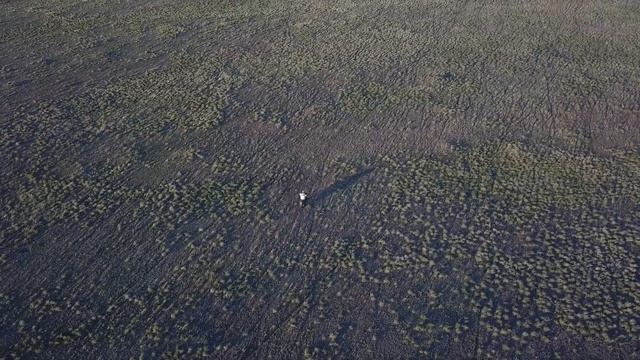 Пастбища Terra Aries смотреть онлайн