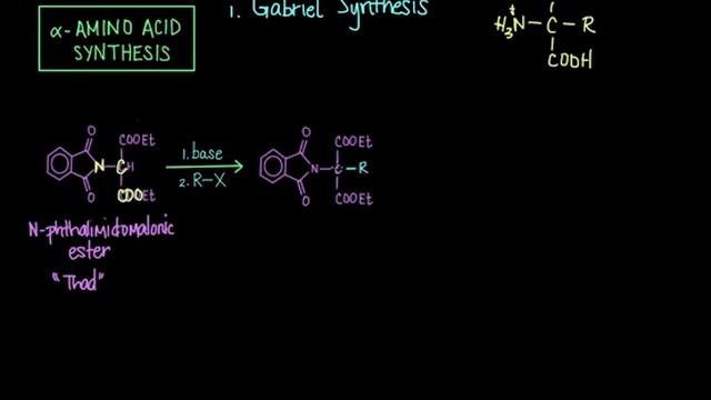 06 Proteins 02 Alpha amino acid synthesis смотреть онлайн