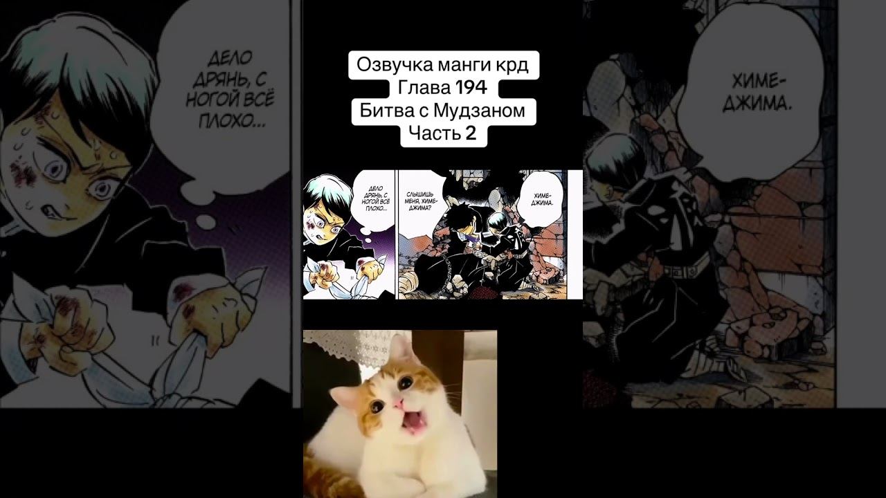 #anime #memes #mitsurikanjori #cat #mitsurikanroji #jjba #demonslayermitsuri #muzan #tanjiro #akaza смотреть онлайн