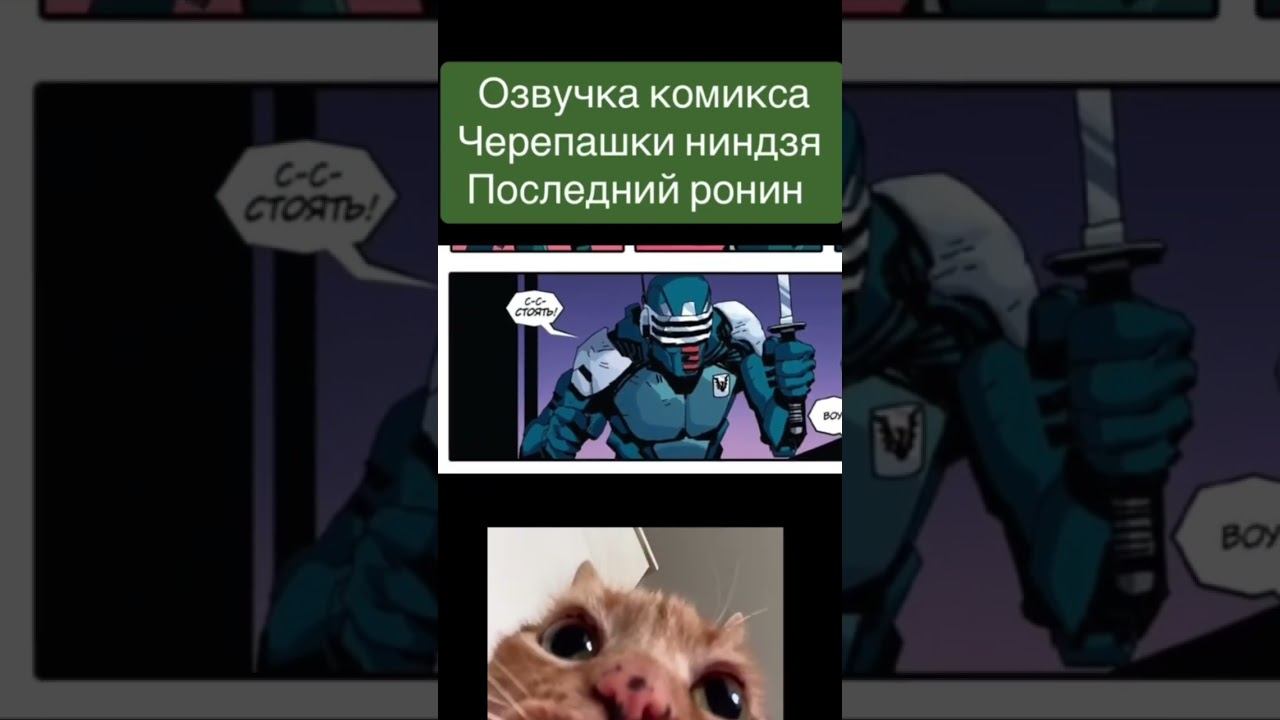 #tmnt #lastronin #черепашкининдзя2003 #черепашкининдзялегенды смотреть онлайн