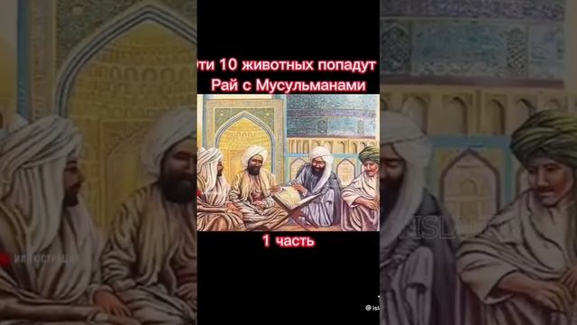 10 животных которые поподут в рай смотреть онлайн