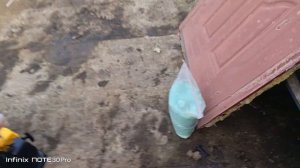 Бензиновый опрыскиватель  Denzel gs-43....Гавно ...редкостное