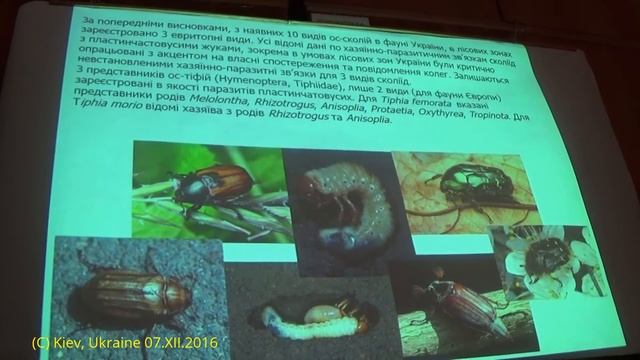 Исследования Паразитических Hymenoptera в Украине. Отчет Отдела. смотреть онлайн