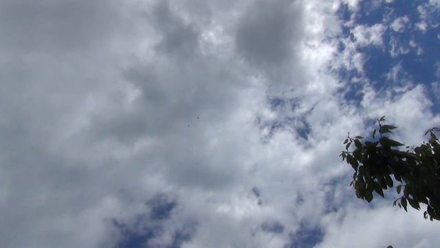 Пара молодых 25 06 2017г смотреть онлайн