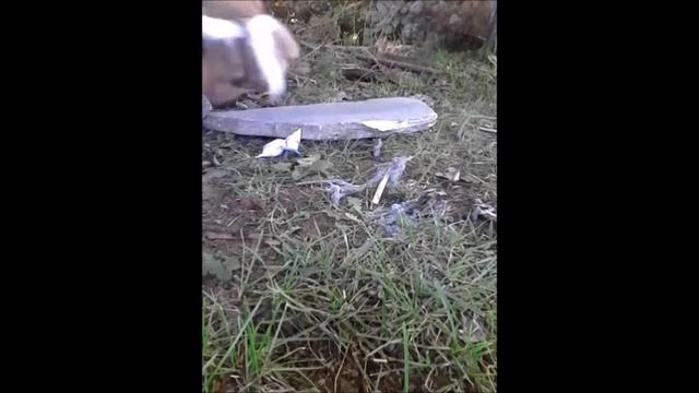 Rudiger Roll video 32 : Instant Cold Pack - Ammonium nitrate - Fire Roll - natural surfaces смотреть онлайн