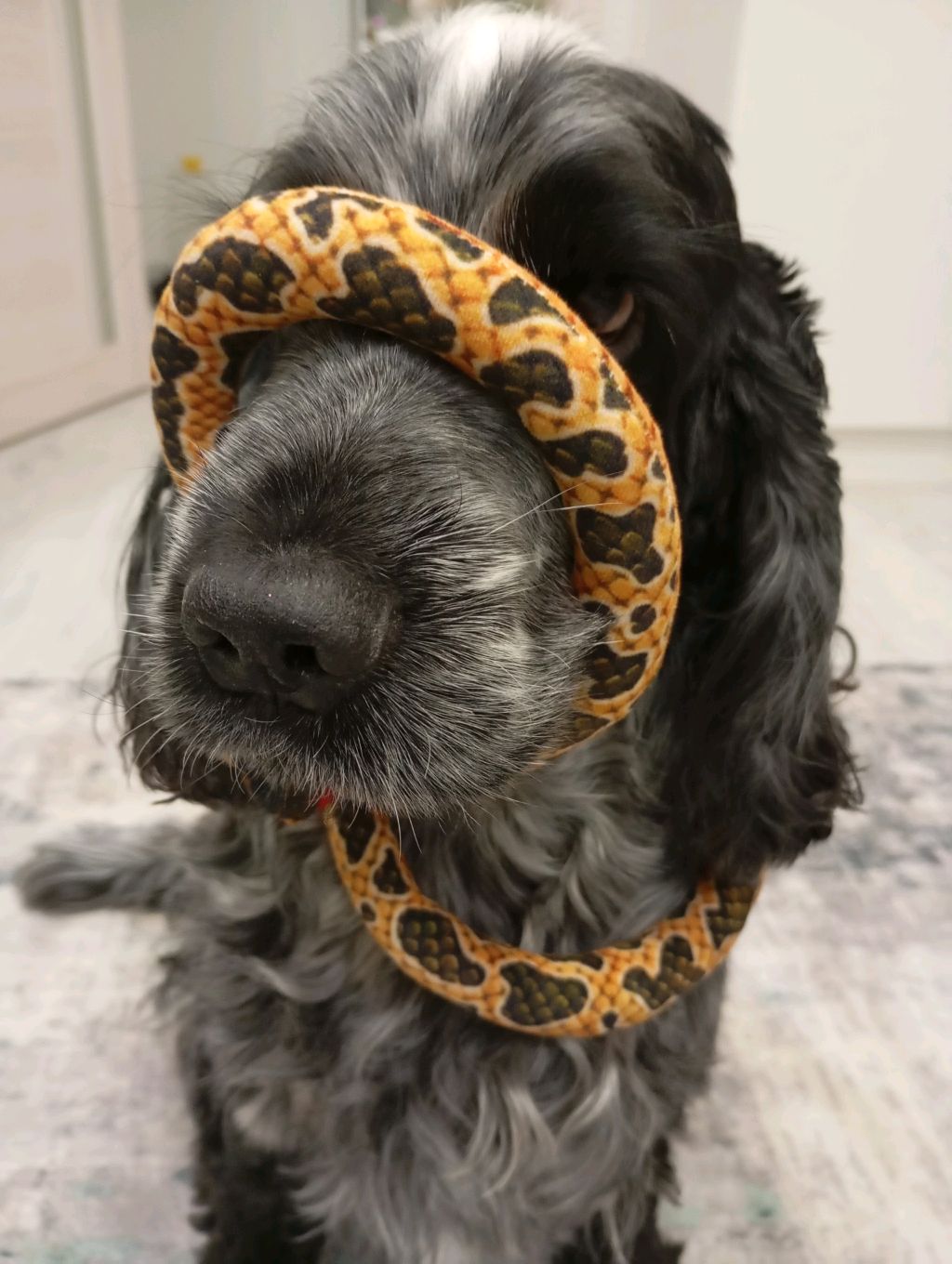 Лиза смотреть онлайн