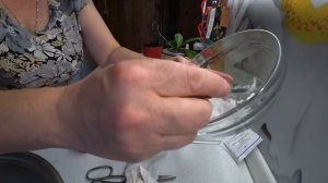 Проверяем средство от муравьёв и тли / Кошка выбрала хозяйку / Душистый чай 12 июня 2021 г.