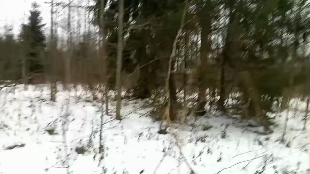 Поиск рогов. Открытие сезона смотреть онлайн