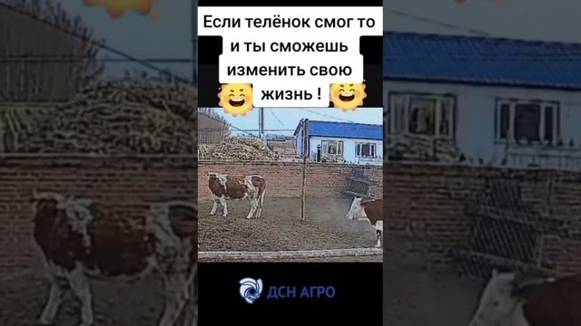 А вы хотите изменить свою жизнь? Заказывайте поилки от 