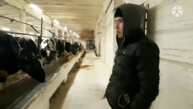 Фермада иш бор смотреть онлайн