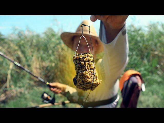 НАШЁЛ ДИКАРЬ И В НЕМ ЕСТЬ РЫБА ЖОР и хороший клёв рыбы, карась, лещ, плотва, ловит рыбу смотреть онлайн