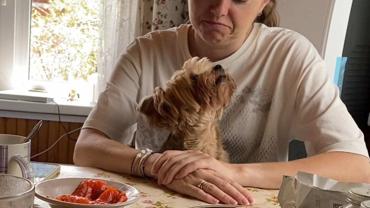 У нас равнособачие / Советую приготовить. Очень вкусно. Овощи в духовке. 19 июля 2024 г. смотреть онлайн