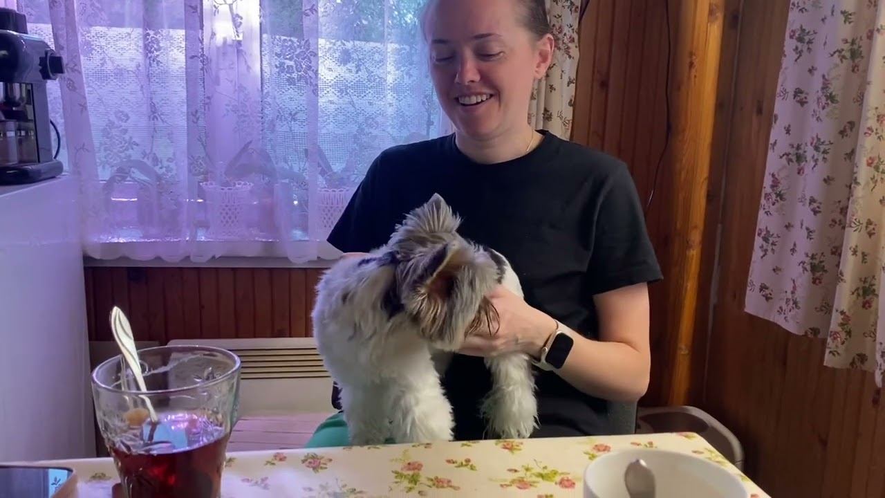 Дача, дача, дача / Новая приспособа / Настроение ВО 29 апреля 2023 г. смотреть онлайн