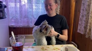 Дача, дача, дача / Новая приспособа / Настроение ВО 29 апреля 2023 г.