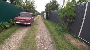 Многодетная бабушка / Кто-то ушёл, кто-то вернулся / Что с огурцами ? 6-7 августа 2021 г.