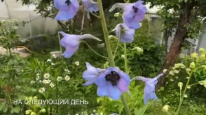 Тропический ливень / Нас залило 16 июня 2024 г.