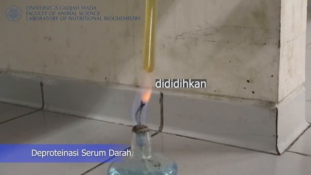 PRAKTIKUM BIOKIMIA DASAR: ACARA DARAH смотреть онлайн