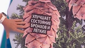 Дигидрокверцетин («О самом главном» от 14.02.2022)