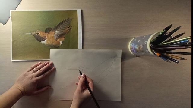 Рисование животных по контуру смотреть онлайн