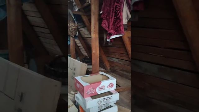 Дом в 45 км от Череповца в д. Покровская смотреть онлайн