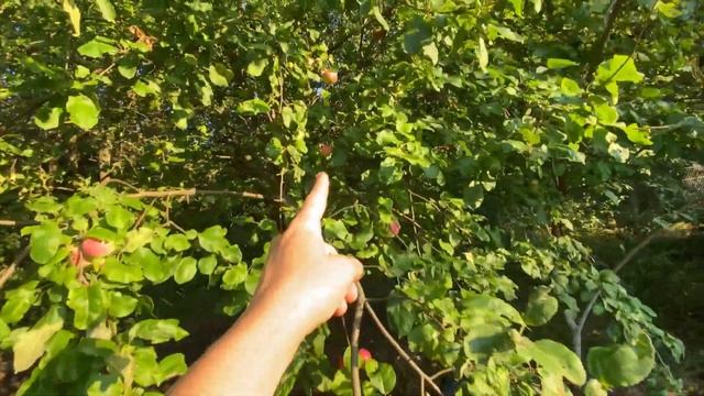 ПРОГУЛЯНКА ПО ГОРОДУ/ НЕ СУДІТЬ МЕНЕ смотреть онлайн