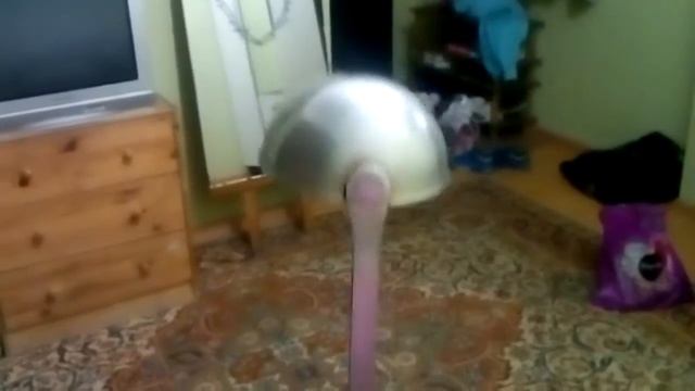 Весёлые глупости!!! Ну конечно же шутки смотреть онлайн