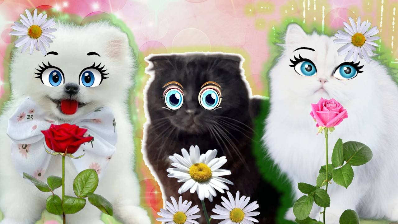 ЭХ! Прошли Весёлые Денёчки! ПРИКОЛЬНЫЕ ВИДОСЫ С НАШИМИ ЛЮБИМЫМИ ЗВЕРИКАМИ подряд 5 серий смотреть онлайн