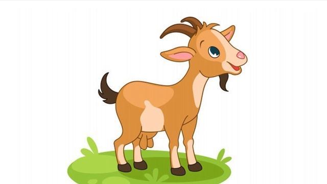 What's Your Favourite Food