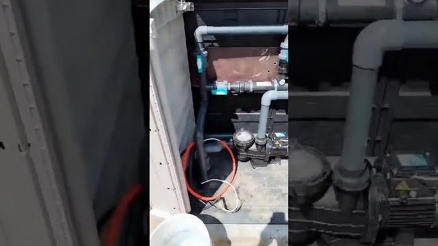 Композитный бассейн Farol под ключ в Сочи🌊 #композитныйбассейн #бассейн #бассейнподключ #бассейндач смотреть онлайн