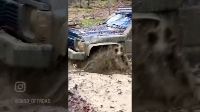 Осенний выезд в лес после урагана и месяца дождей. Ну и протестили Ниссан после сборки и прошивки. смотреть онлайн