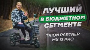 ЛУЧШИЙ В БЮДЖЕТНОМ СЕГМЕНТЕ / Обзор электротрицикла TRION Partner MX 12 PRO
