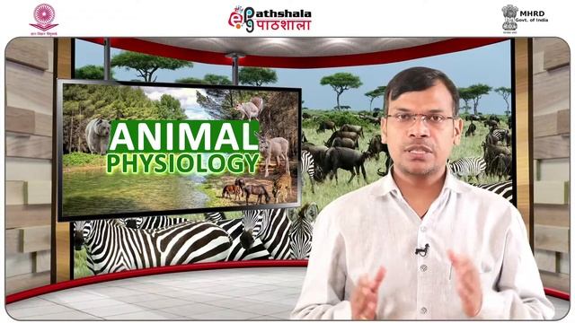 Environment leading to neuronal function смотреть онлайн