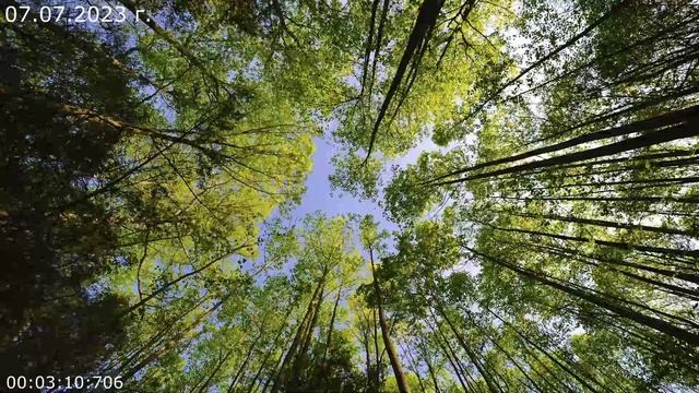 740 Упражнение 07.06.2023 г смотреть онлайн