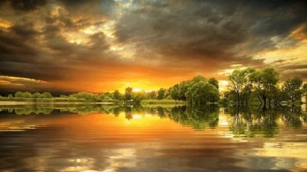 прости что сегодня уйду