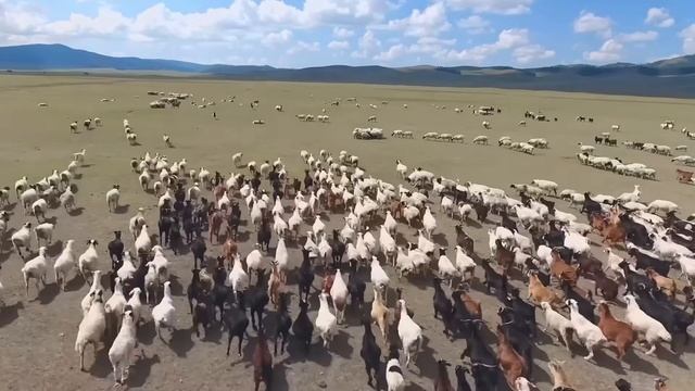 МОНГОЛИЯ - УДИВИТЕЛЬНАЯ СТРАНА, ПОДРОБНЕЕ О НЕЙ!