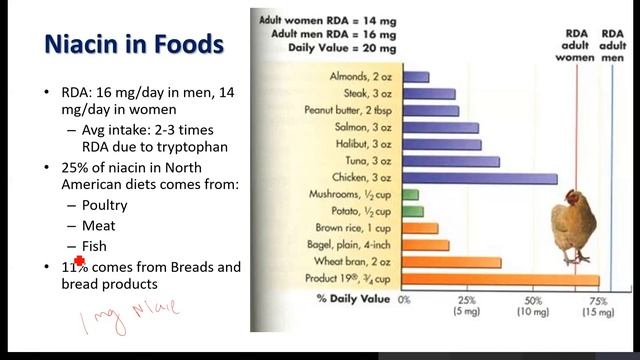 Types Of Vitamins | VITAMINS | Importance Of Vitamins | Niacin | VitaminB3 | RDA смотреть онлайн
