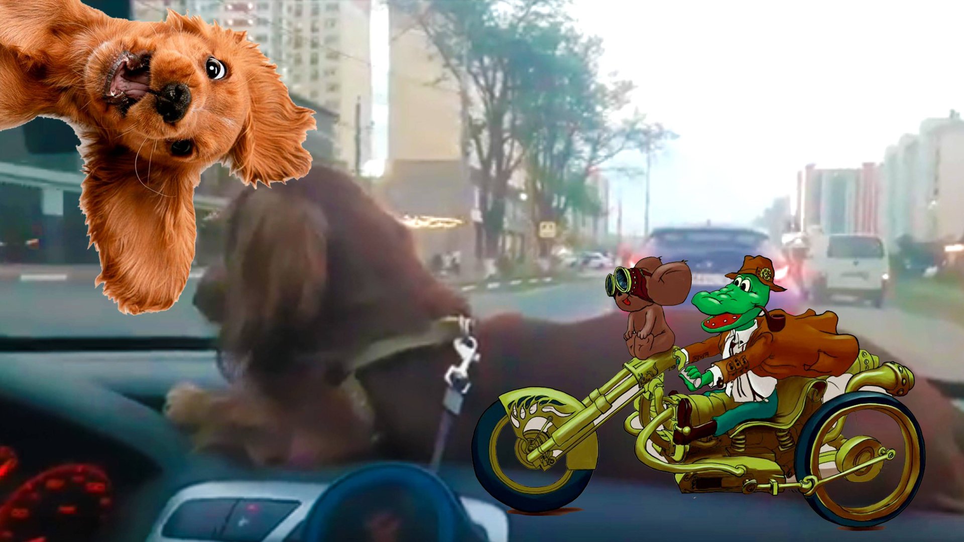 Снимите этого Сруля смотреть онлайн