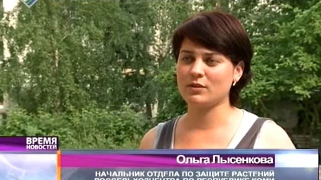 ВН «Превращение» 11 июля 2013 смотреть онлайн