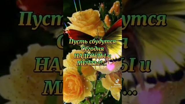 доброе утро! смотреть онлайн