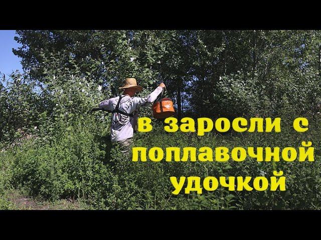 Рыбалка с поплавочной удочкой, вот это клёв, ловля карася, леща, много рыбы на дикой реке смотреть онлайн