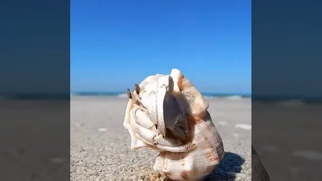 Amazing World смотреть онлайн