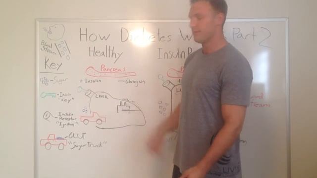 Leaner Living: How Diabetes And Berberine Works Part 2 - The Liver смотреть онлайн