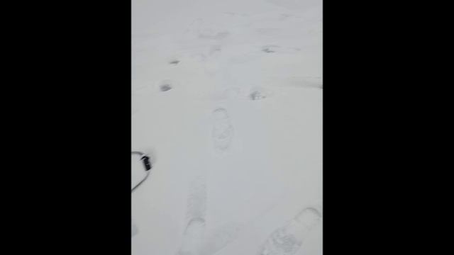 VID_20241217_125944 смотреть онлайн