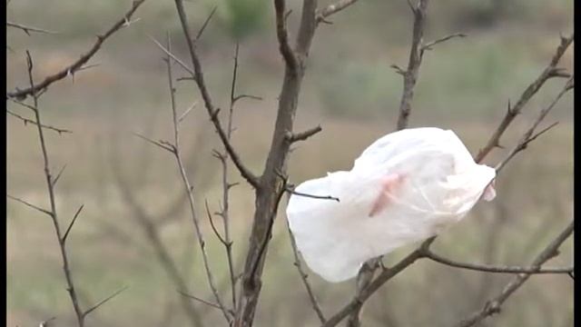 Свалка смотреть онлайн