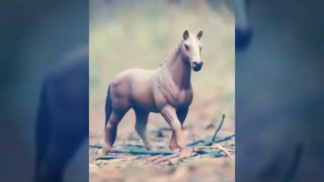 Красивые фото смотреть онлайн