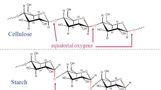 Conformations of Alkanes and Cycloalkanes (Lesson Six) смотреть онлайн