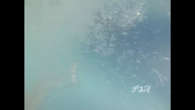 Аквапарк в Волжском смотреть онлайн